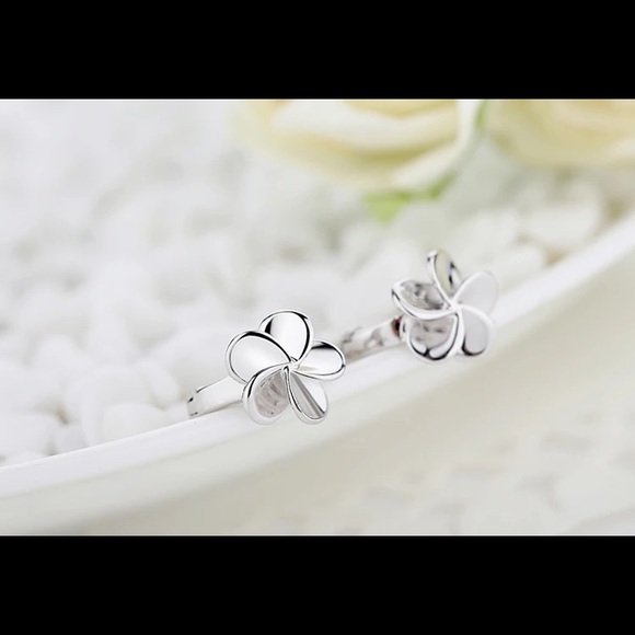 Plumeria Sterling 925 Silver Nano Micro Hinges Pins - Picture 11 of 13